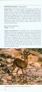 Natuurgids Pocket Photo Guide Mammals of North Africa and the Middle East | Bloomsbury
