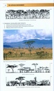 Natuurgids The Kingdon Field Guide to African Mammals | Bloomsbury