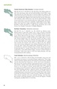 Natuurgids Pocket Guide to the Mammals of Costa Rica | Comstock Publishing Associates