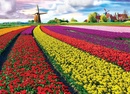 Legpuzzel Tulp velden - Bollenvelden - Tulip fields | Eurographics