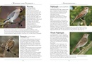 Vogelgids a Naturalist's guide to the Birds of Britain and Northern Europe | John Beaufoy