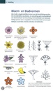 Natuurgids - Opruiming Alpen flora - alpenflora, bloemen van Europese hooggebergten | Tirion