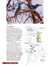 Vogelgids 50 Top Birding Sites in Kenya | Struik Nature
