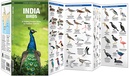 Vogelgids India Birds | Waterford Press