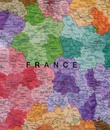 Wandkaart France Political Map | 118 x 84 cm | Maps International