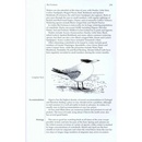 Vogelgids Where to Watch Birds in Portugal, the Azores & Madeira Archipelagos | Pelagic Publishing