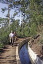Wandelgids Walking in Madeira and Porto Santo | Cicerone
