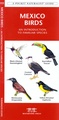 Vogelgids - Natuurgids Mexico Birds | Waterford Press