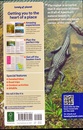 Reisgids Florida and the South National Parks | Lonely Planet