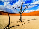 Fotoboek The Namib Desert | teNeues