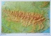 Reliëfkaart Pyreneeën 113 x 80 cm (9782758534662) | IGN - Institut Géographique National