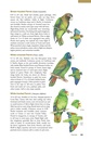 Vogelgids - Natuurgids The Wildlife of Costa Rica | Comstock Publishing Associates