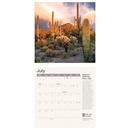 Opruiming - Kalender Amazing Planet 2024 Wall Calendar | Carousel