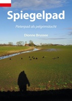 Spiegelpad