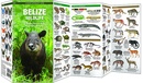 Natuurgids - Vogelgids Belize Wildlifde | Waterford Press