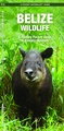 Natuurgids - Vogelgids Belize Wildlifde | Waterford Press