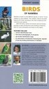 Vogelgids Pocket Guide to Birds of Namibia | Struik Nature