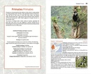 Natuurgids Mammals of Ethiopia, Eritrea, Djibouti and Somalia | Meru Publishing