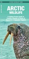 Natuurgids Arctic Wildlife | Waterford Press