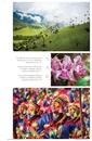 Reisgids Colombia | Bradt Travel Guides