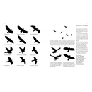Vogelgids - Natuurgids Roofvogelgids | Noordboek