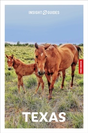 Reisgids Texas | Insight Guides