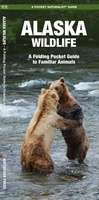 Alaska Wildlife An introduction to familiar species