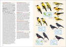 Vogelgids Birds of the Indonesian Archipelago - Indonesië | Lynx
