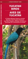 Yucatan Birds - Mexico