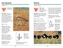 Natuurgids First Field Guide to Animal Tracks of Southern Africa | Struik Nature