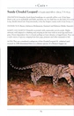 Natuurgids Naturalist's Guide to the Mammals of South-East Asia | JB publishing
