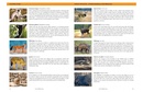 Accommodatiegids - Natuurgids Good Wildlife Travel Guide to India and Nepal | Toft