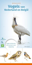 Natuurgids Minigids Minigids vogels van Nederland en België | KNNV Uitgeverij