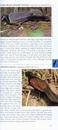 Vogelgids Pocket Photo Guide Birds of Vietnam, Cambodia and Laos | Bloomsbury