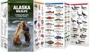 Vogelgids - Natuurgids Alaska Wildlife An introduction to familiar species | Waterford Press