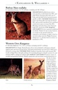 Natuurgids a Naturalist's guide to the Mammals of Australia | John Beaufoy