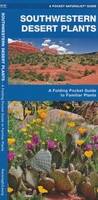 Southwestern Desert Plants USA