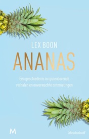 Reisverhaal Ananas | Lex Boon