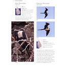 Vogelgids A photographic field guide to the The Birds of Sri Lanka | John Beaufoy
