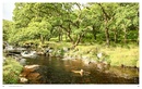 Reisgids Devon & Dartmoor : Mini adventures, secret places & local food | Wild Things Publishing