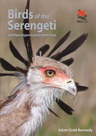 Vogelgids Birds of the Serengeti | Princeton University Press
