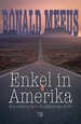 Reisverhaal Enkel in Amerika | Ronald Meeus