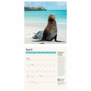 Opruiming - Kalender Amazing Planet 2024 Wall Calendar | Carousel