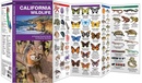 Natuurgids - Vogelgids California Wildlife | Waterford Press