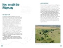 Wandelgids The Ridgeway | Sparky Books