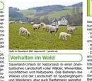 Wandelkaart 517 Sauerland-Höhenflug | Publicpress