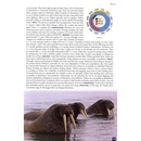 Natuurgids Europe's Sea Mammals Including the Azores, Madeira, the Canary Islands and Cape Verde | Princeton University Press