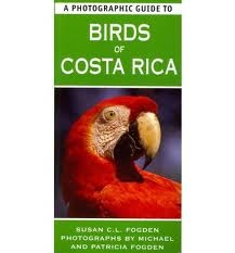 Vogelgids Photographic Guide to the Birds of Costa Rica | New Holland Publishers