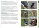 Natuurgids A Photographic Guide to Wildlife of Sri Lanka | John Beaufoy