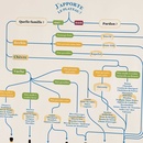 Poster Vins et Fromages les accords | 50 x 70 cm | La carte des vins